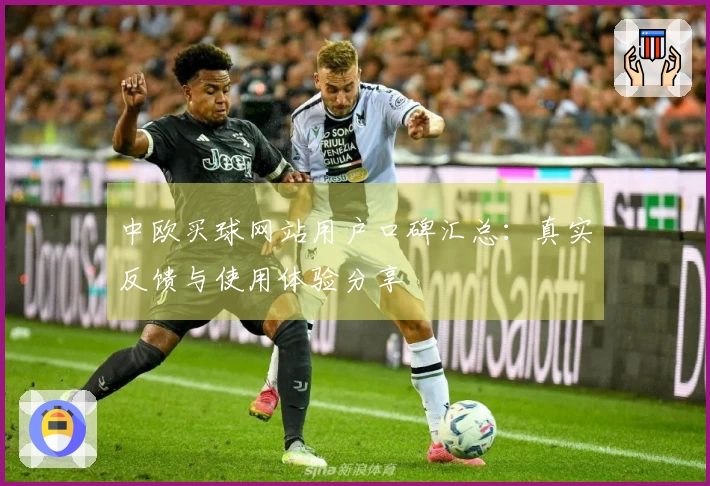中欧买球网站用户口碑汇总：真实反馈与使用体验分享