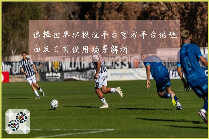 选择世界杯投注平台官方平台的理由及日常使用场景解析