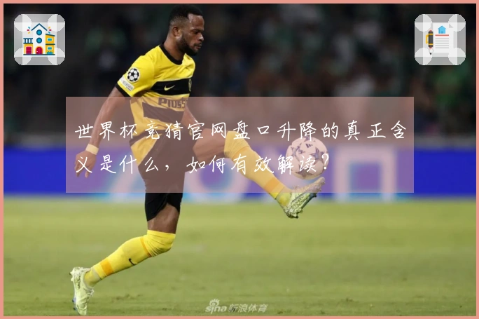 世界杯竞猜官网盘口升降的真正含义是什么，如何有效解读？