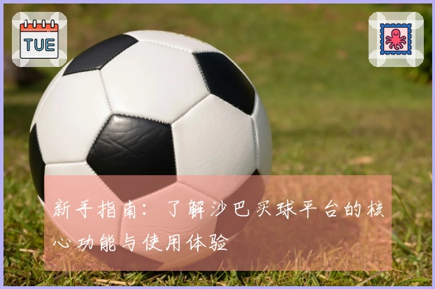新手指南：了解沙巴买球平台的核心功能与使用体验