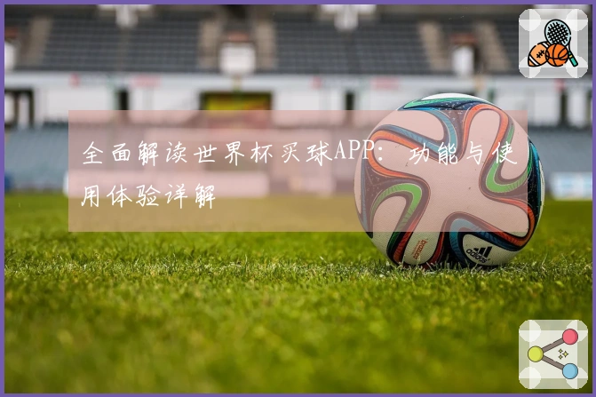 全面解读世界杯买球APP：功能与使用体验详解