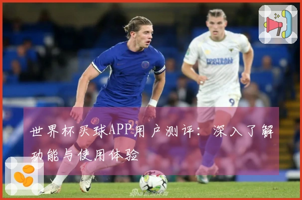 世界杯买球APP用户测评：深入了解功能与使用体验
