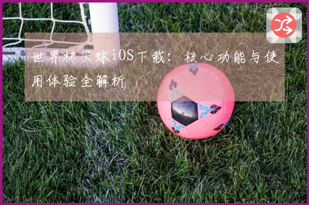 世界杯买球iOS下载：核心功能与使用体验全解析