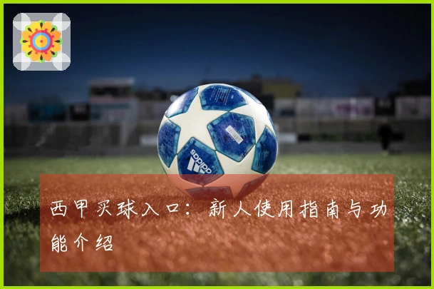 西甲买球入口：新人使用指南与功能介绍