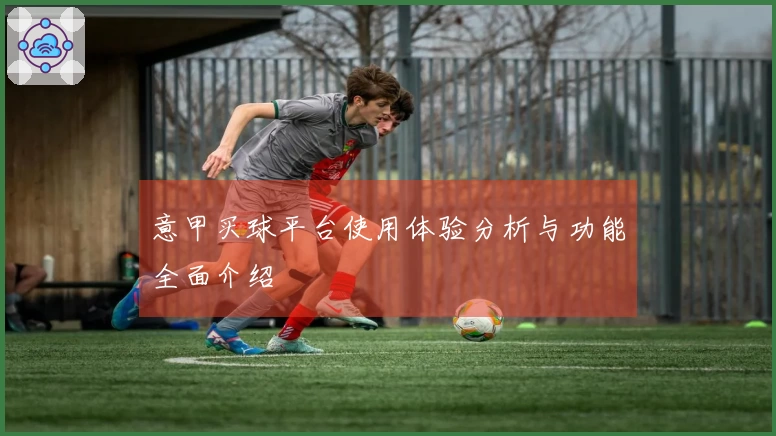 意甲买球平台使用体验分析与功能全面介绍