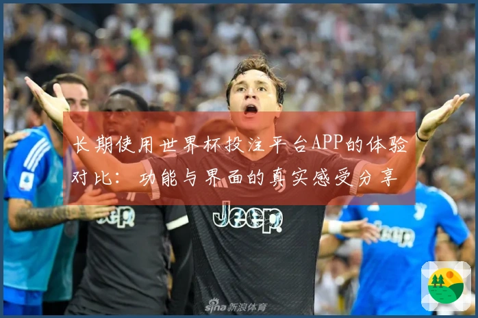 长期使用世界杯投注平台APP的体验对比：功能与界面的真实感受分享