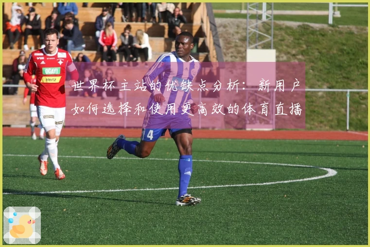 世界杯主站的优缺点分析：新用户如何选择和使用更高效的体育直播平台