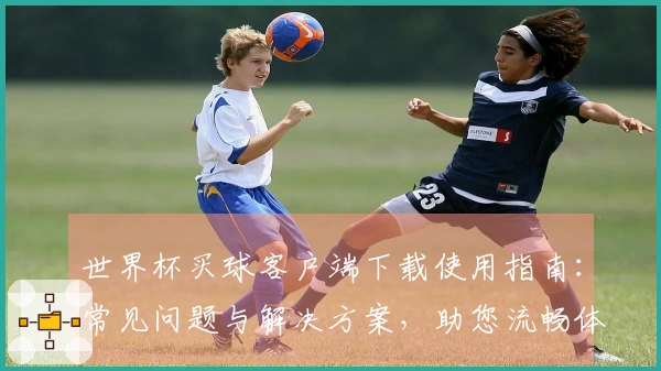 世界杯买球客户端下载使用指南：常见问题与解决方案，助您流畅体验