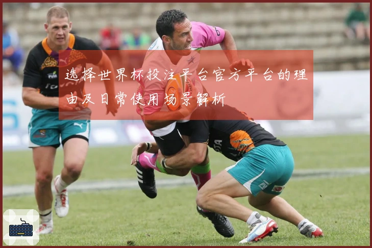 选择世界杯投注平台官方平台的理由及日常使用场景解析