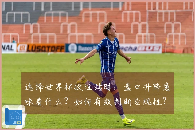 选择世界杯投注站时，盘口升降意味着什么？如何有效判断合规性？