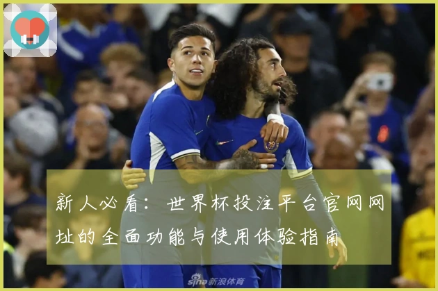新人必看：世界杯投注平台官网网址的全面功能与使用体验指南